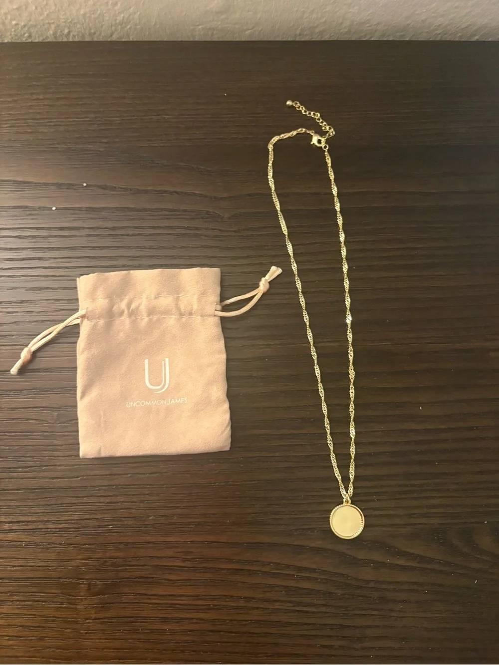 NEW Uncommon James Gold Circle Pendant Necklace